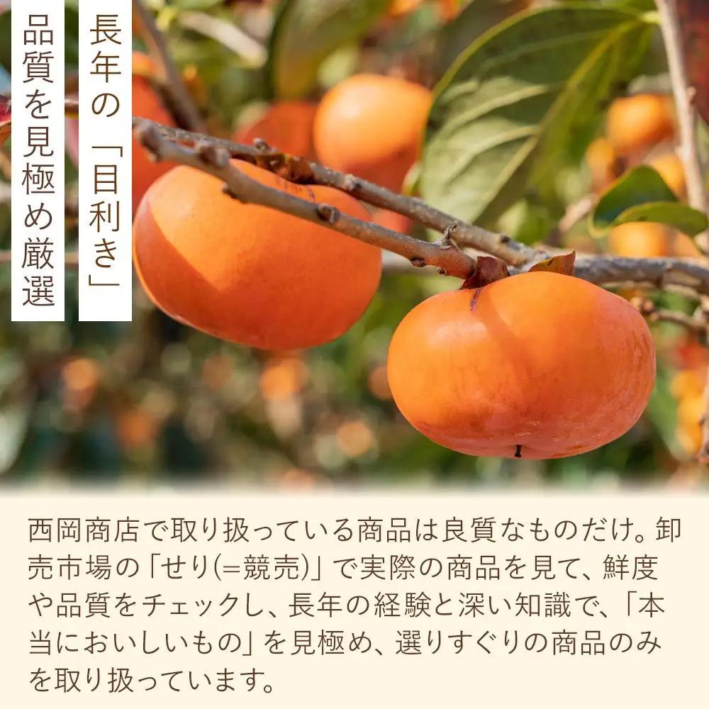 【2026年発送】九度山の富有柿 秀品 約7.5キロ　(３２～２２玉)｜柿
