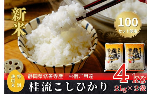 （ 数量限定 100 セット） 新米　 静岡 伊豆 修善寺産  桂流 こしひかり ４㎏ （ 2kg × 2袋 ）【 コシヒカリ 白米 お米 精米 国産 米 ごはん 特別栽培米 お取り寄せ 静岡県 伊豆市】 009-005