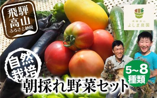 【数量限定】【2026年予約受付】（7月～発送開始） 自然栽培 朝採れ 野菜セット 5～8種 | 先行予約 新鮮 野菜 採れたて トマト ナス キュウリ ゴーヤ オクラ ネギ ししとう 冬瓜半割 ジャガイモ 玉ねぎ など お任せ 飛騨高山 よしま農園 CK008