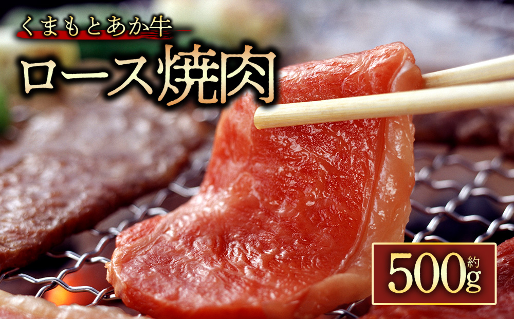 【GI認証】くまもとあか牛ロース【焼肉500g 】阿蘇牧場 熊本県 阿蘇市