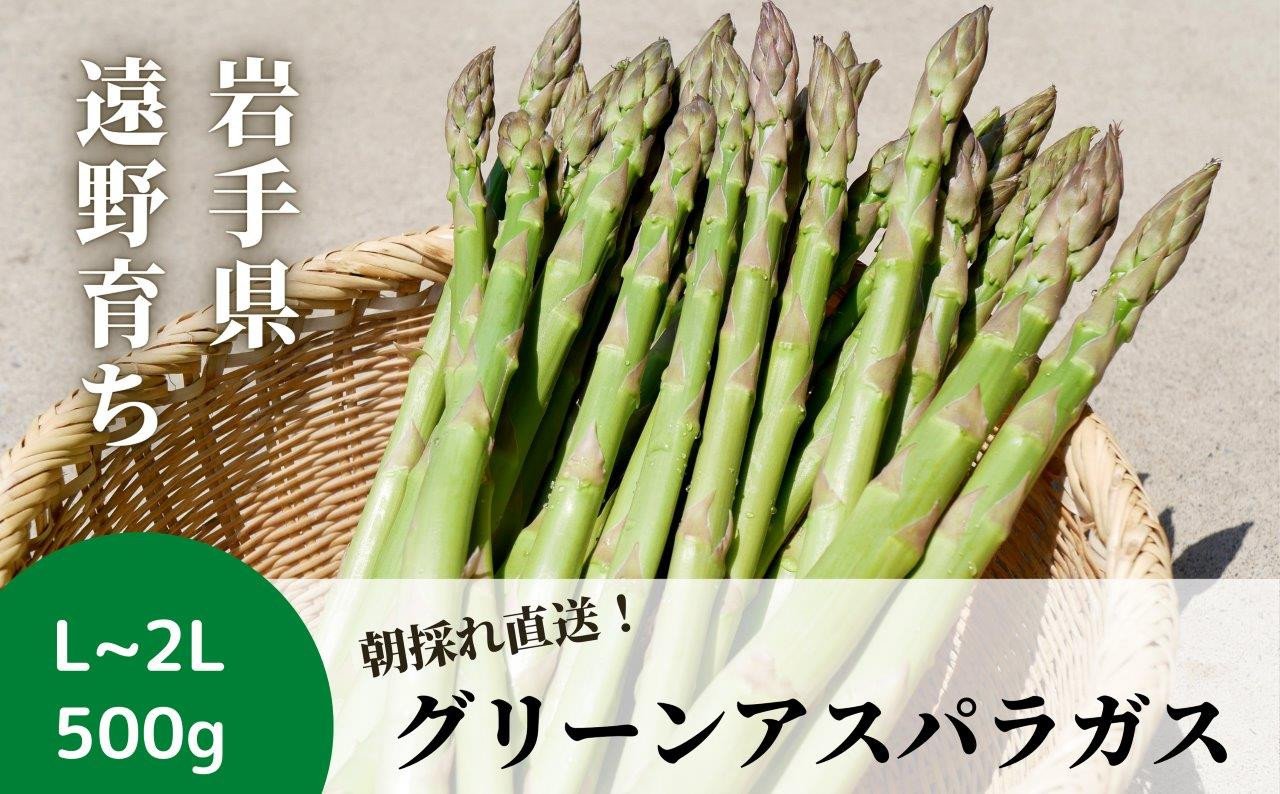 
            アスパラガス 500g こんたでぃーの遠野  採れたて 岩手県 遠野市 産 グリーン アスパラ 【 先行予約 2026年5月発送予定 】
          