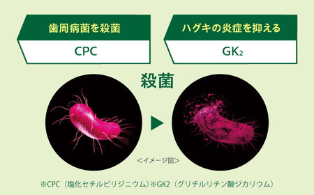 【最短7日以内発送】 GUM知覚ラボ デンタルペースト 90g（マイルドハーブ）20本 歯磨き粉 ハミガキ 知覚過敏 はみがき GUM ストック 消耗品 日用品 大容量 大阪府高槻市/サンスター[AO