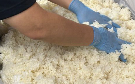 【3ヶ月ごと全4回定期便(1年分)】 毎日飲んで健康に！米麹の甘酒580g×15本 島根県松江市/合同会社スギナリ醸造所[ALGY006]