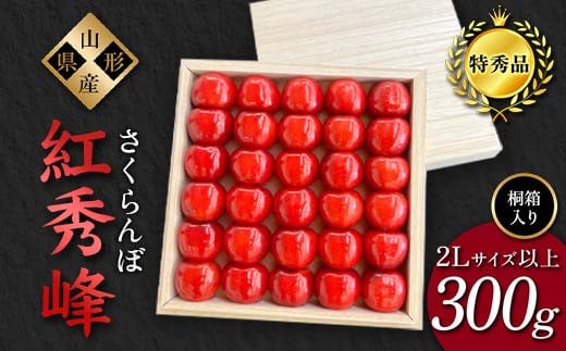 
            【2025年先行予約】さくらんぼ「紅秀峰」300g 特秀品 2Lサイズ以上 ≪桐箱入り≫ 山形県産 FSY-1207
          