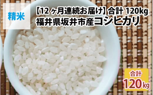 【先行予約】【令和7年産・新米】【12ヶ月連続お届け】福井県坂井市丸岡町産 コシヒカリ10kg×12回 計120kg（精米）【2025年10月より順次発送予定】 [P-11301_03]