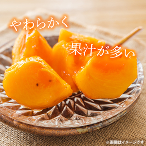 【2026年10月下旬より順次発送】【数量限定】富有柿 L 16玉【茨城県共通返礼品/石岡市】（IU-9）