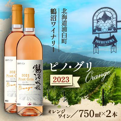 ふるさと納税 浦臼町 鶴沼収穫ワイン【ピノ・グリOrange】オレンジワイン 2023年産　2本セット