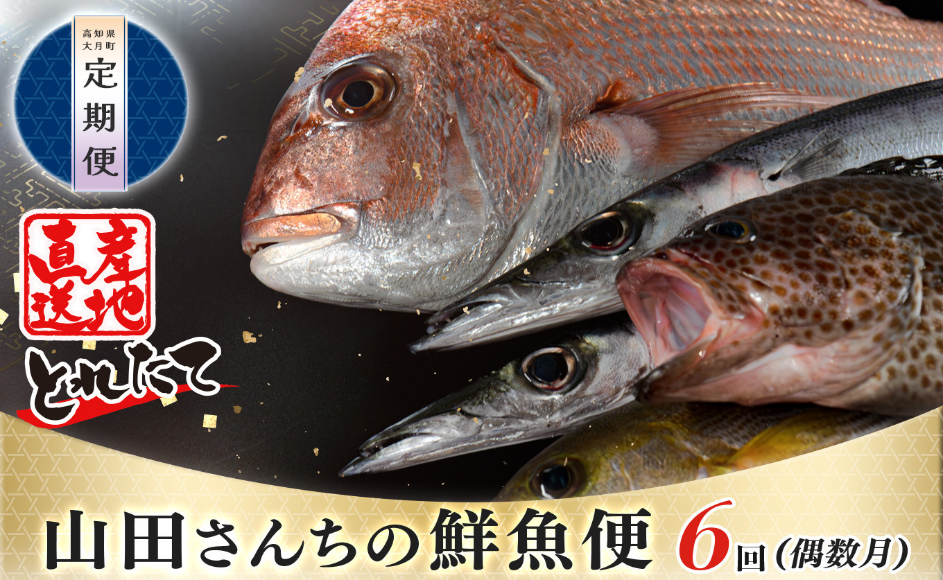 
【定期便 6回】山田さんちの鮮魚便(偶数月)
