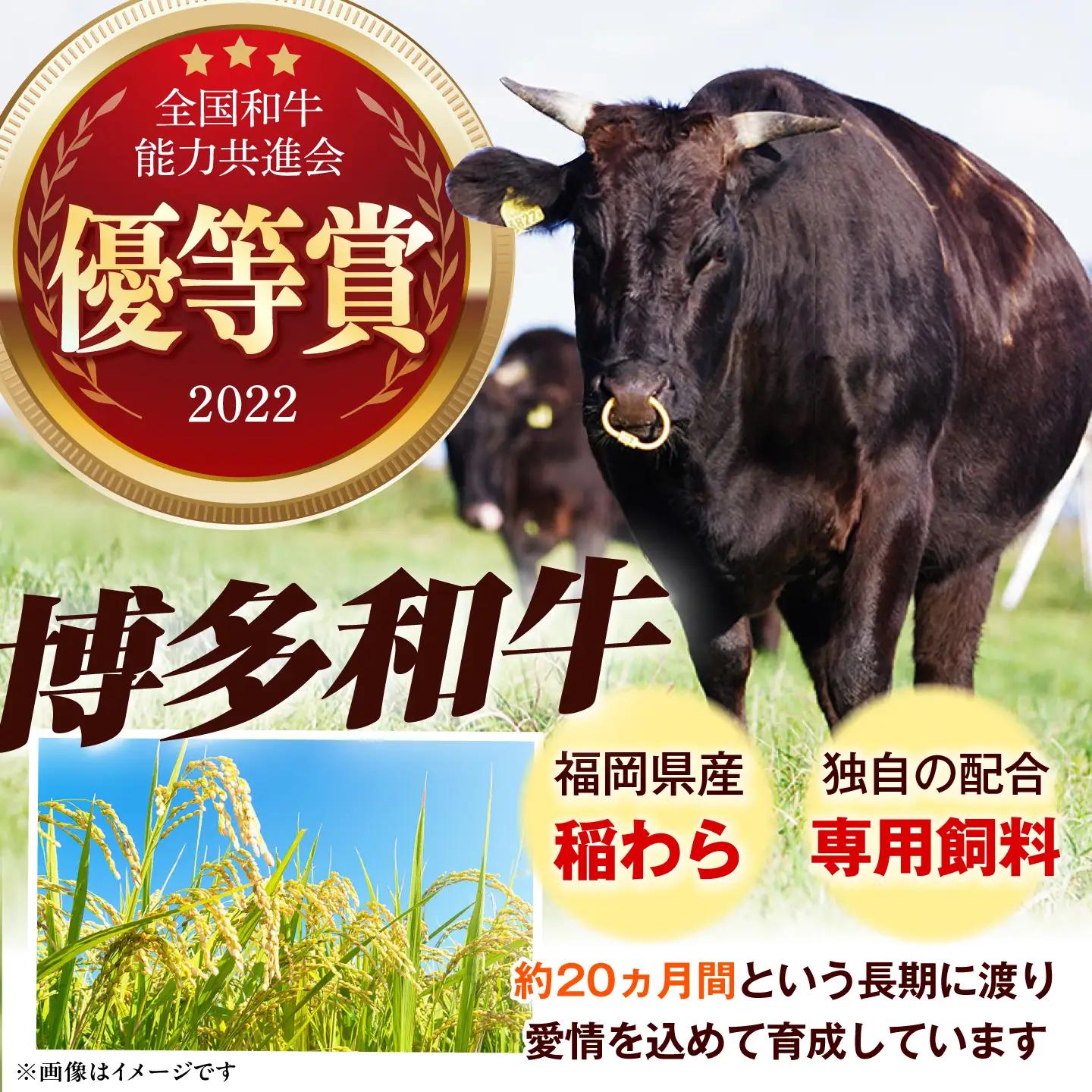 【全12回定期便】 ヒレ シャトーブリアン ステーキ 300g（ 150g ×2枚） [ABEZ011] シャトーブリアン