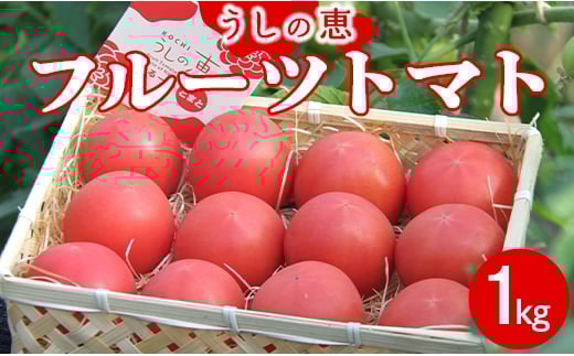 【先行受付】うしの恵 フルーツトマト籠入り1kg - 野菜 とまと 期間限定 フルーツトマト 産地直送 mj-0023