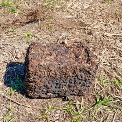 ふるさと納税 日吉津村 家庭菜園やカブトムシ・クワガタムシのマットに。廃菌床12個入り |  | 01