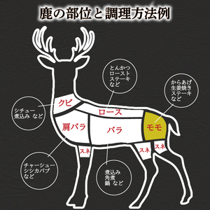 訳あり 鹿肉 もも ブロック 約1kg ジビエ 鹿肉 鹿肉 鹿肉 鹿肉 鹿肉 鹿肉 冷凍 BM108