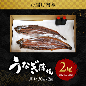 【2025年7月12日より発送】土用の丑の日「国産うなぎ蒲焼」2尾(480g～500g)
