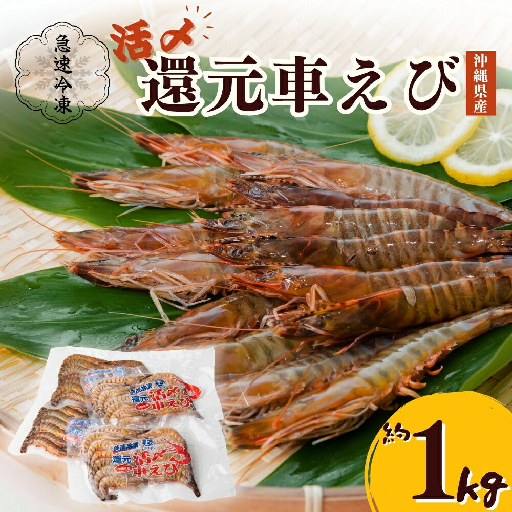 【ふるさと納税】活〆還元車えび（急速冷凍・1Kg）【エナジック車海老養殖場】活き締め 急速冷凍 沖縄県産 えび エビ 車海老 養殖海老 正月お祝い 沖縄 うるま市