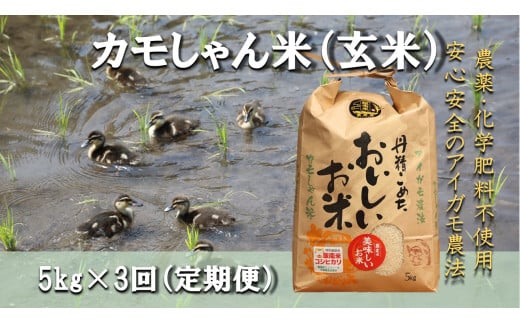 【3回定期便】令和6年度島根県産コシヒカリ 「カモしゃん米」（玄米）5kg 【 こしひかり お米 農家直送 無農薬 化学肥料不使用 玄米 安心 安全 新米 D-154】