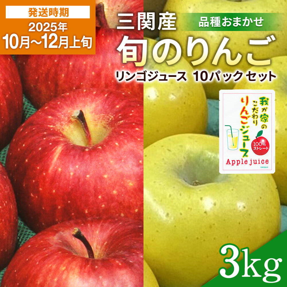 【ふるさと納税】【2025年10月～12月上旬発送】三関産 旬 りんご 3kg + 果汁100 ％ りんごジュース 10個 セット 中生種 品種お任せ 早生ふじ シナノスイート 王林 等の中から 美味しい 林檎 をお届け 果物 ジュース 三関 【三関ゆめ蔵ぶ直売所】[B3-2606]