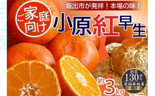 ご家庭向け！小原紅早生みかん　約3kg【坂出発祥の真っ紅なお蜜柑】