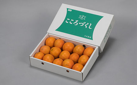 【訳あり・優品】今村農園のおひさまきらりん 約3.5kg<107-019_7>