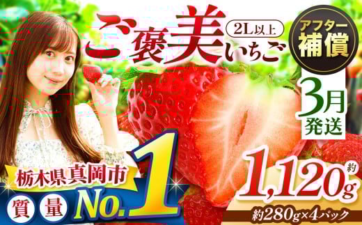 【3月発送】一粒の贅沢！ ご褒美とちあいか 2L以上 約1120g 280g×4パック いちご |  3月 おいしい 取り寄せ プレゼント | 生産量 日本一 果物 フルーツ 苺 イチゴ 26年分 シーズン  栃木県 真岡市 送料無料