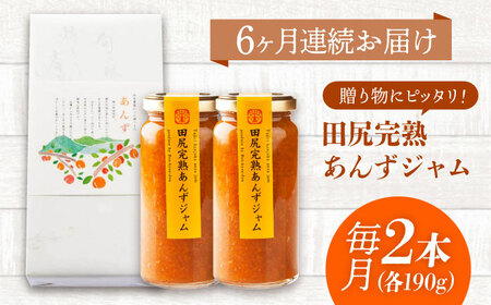 【全6回定期便】 ジャム 田尻完熟あんずジャム (2本)　ジャム 果物 あんず パン 甘い 菓子 朝ごはん 広島県福山市/有限会社勉強堂[BAFL013]