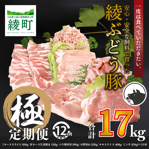 宮崎県産 希少 ブランド豚 「綾ぶどう豚」 よりどり 詰め合わせ 12か月 定期便 セット 毎月 中旬 お届け 国産 豚肉 ロース スライス 生姜焼き バラ 焼肉 小間切れ モモ スライス ミンチ しゃぶしゃぶ