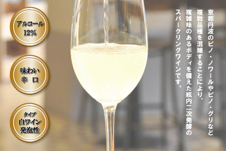 丹波ワイン 京都丹波 トラディショナル 瓶内2次発酵 750ml スパークリングワイン 白ワイン 丹波ワイン [017SJ002]