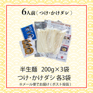 讃岐うどん 半生 6人前 つけだし かけだし うどん
