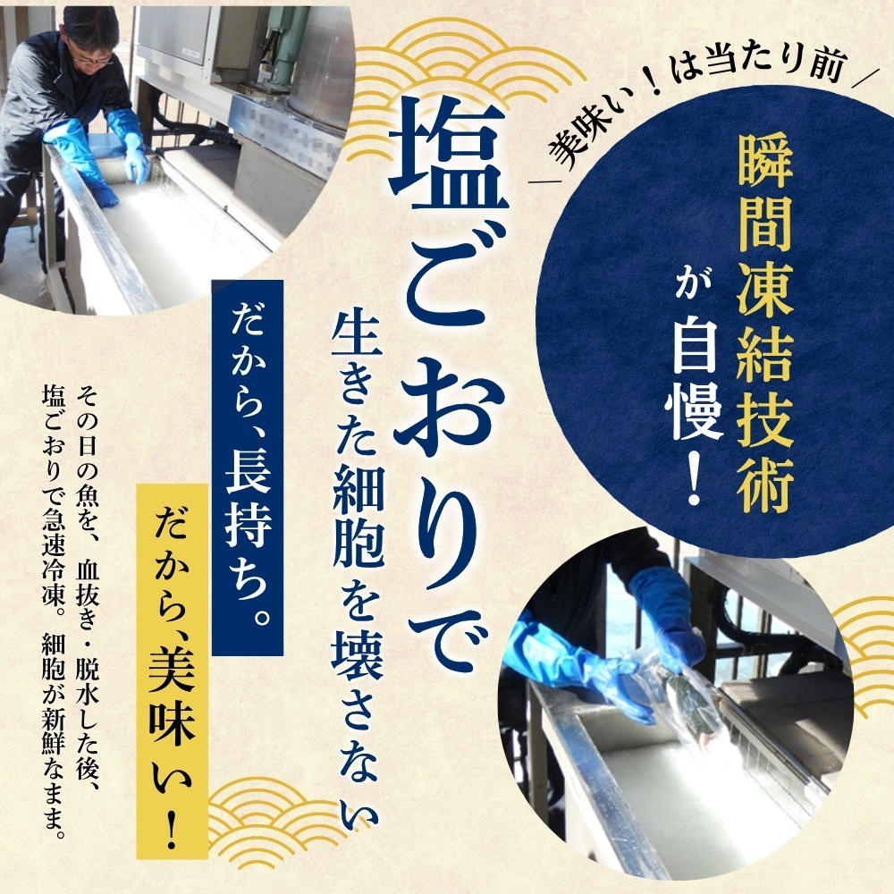 まぐろ 【訳あり】和歌山県産 天然生マグロ 冷凍 生 計1kg（約200g×5パック）まぐろ マグロ 鮪 赤身 海鮮丼 鮪 寿司 海鮮 小分け 刺身 和歌山 すさみ町 キハダマグロ メバチマグロ 本マ