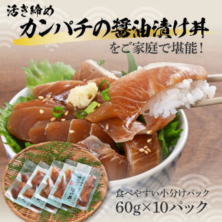 訳あり 活き締めカンパチの醤油漬け丼(10P)セット かんぱち 醤油 特製タレ 惣菜 魚 魚介類 海鮮 海鮮丼 お茶漬け 新鮮 高鮮度 ご自宅用 ご家庭用 美味しい 小分け 個包装 お取り寄せ 国産_