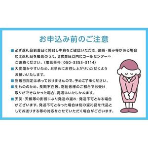 2026年 ニュー ピオーネ 約400g×2房 ｜  ピオーネ