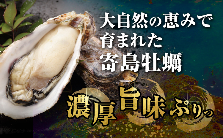 【3ヶ月定期便】炊き込みご飯 寄島 漁港の釜飯 かきめし 210g×2個 ×3回 (製造地：岡山県浅口市) ハレノヒ良品(まからずやストアー)《お申込み月の翌月から発送》岡山県 浅口市 かき 牡蠣 釜