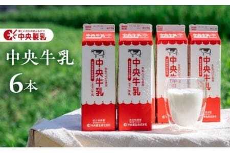 牛乳 1L×6本 牛乳 中央製乳