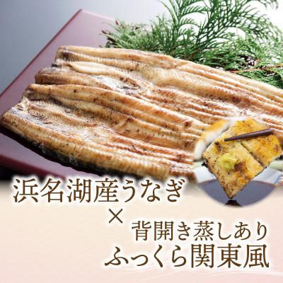 ふるさと納税 磐田市 浜名湖産 うなぎ白焼 2尾入り |  | 01