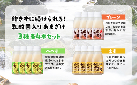乳酸菌入りあまざけ ちほまろ 150g　12本セット 【プレーン へべす 玄米】_Tk015-017-b12
