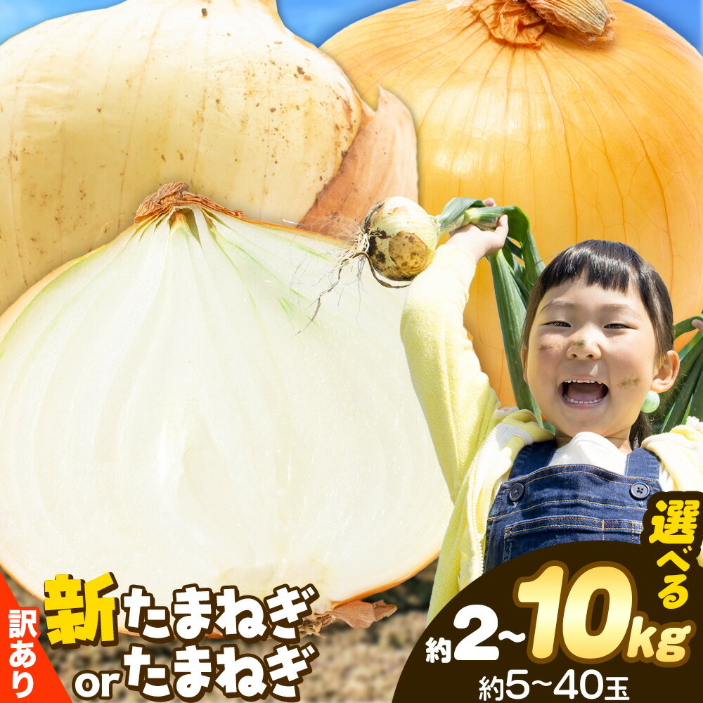 【ふるさと納税】訳あり たまねぎ 新たまねぎ 新 玉ねぎ 紀の川市産 選べる 種類 約2kg 約5kg 約10kg お試し 大容量 不選別《5月下旬-7月中旬頃出荷》和歌山県 紀の川市 送料無料 野菜 玉葱 新玉ねぎ 新たま 旬 お取り寄せ 訳あり野菜