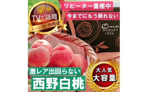 《市場に出回らないレアな西野白桃》人気品種指定ギフト4年連続TV出演話題ブランド2025年7月中旬発【1465270】