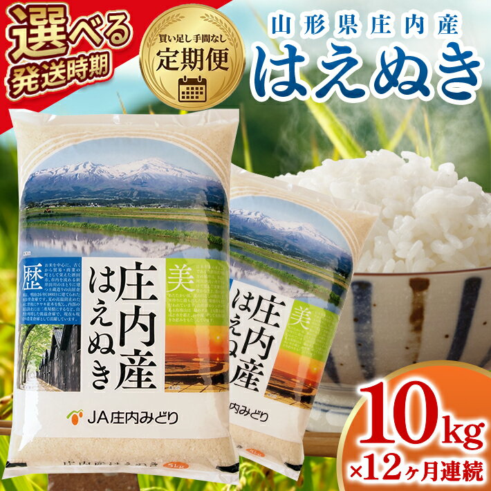 【ふるさと納税】≪12ヶ月定期便≫ はえぬき10kg×12ヶ月連続 計120kg 山形県庄内産 ご希望期間の毎月中旬頃お届け JA 農協 産地直送 精米 白米 庄内米 東北 遊佐町