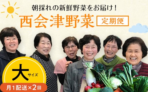 西会津ミネラル野菜セット定期便（大）2回 F4D-1400