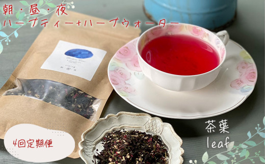 【茶葉】 【定期便】 朝・昼・夜のハーブティー ハーブウォーター セット 4回 定期便   マダムロミ ❘ ハーブ ノンカフェイン リラックス   栽培期間中 農薬不使用 化学肥料不使用   愛媛 松山