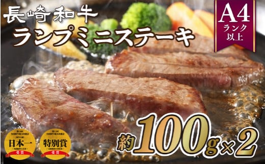 B221p 長崎和牛ランプミニステーキ(2枚)