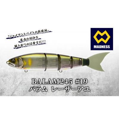 ふるさと納税 京田辺市 BALAM245 #19 バラム レーザーアユ 〈マドネス、ビックベイト、釣り、ルアー〉
