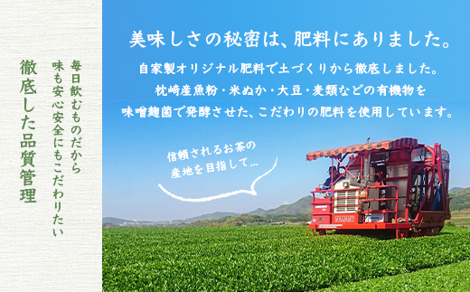 緑茶いろどりセット〜涼風〜 (水出し煎茶ティーバッグ・茶塩・粉末緑茶) 深蒸し煎茶 A3−101【1166620】