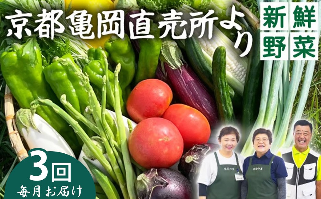 
                  【3回定期便(毎月1回)】 野菜定期便 7~10種類 旬の野菜 「佐伯の里」 野菜セット 詰め合わせ 訳あり 生活応援品 季節 旬 野菜 やさい 国産 国産野菜 新鮮 おまかせ 産地直送 春野菜 夏野菜 秋野菜 冬野菜 葉物 果菜 根菜 京都府産 亀岡市産 京丹波町産 季節の野菜 九条ネギ なす しいたけ 万願寺とうがらし サラダ 水菜 聖護院大根 送料無料 京都府 亀岡市 1ヵ月毎
                