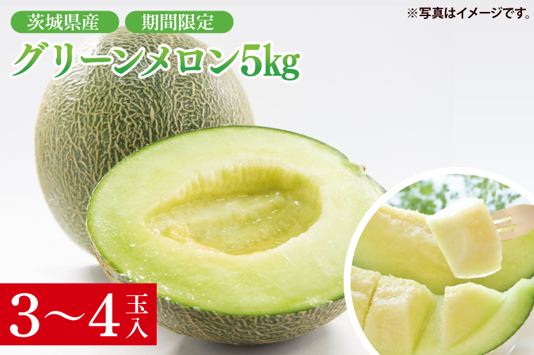 先行予約 グリーンメロン 5kg  3玉入 4玉入 山崎農園 産地直送 お取り寄せ 夏 旬 フルーツ 果物 くだもの 甘い メロン 茨城県 阿見町【2026年5月下旬～6月中旬頃順次発送予定】（70-
