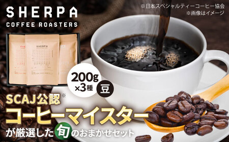 コーヒー SHERPA COFFEE ROASTERS 季節のおすすめセット 200g×3パック [ANGC004] コーヒー