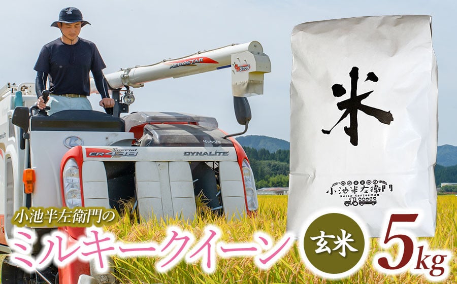 
            数量限定 【令和7年産先行予約】 山形県庄内産 小池半左衛門のお米 ミルキークイーン 玄米 5kg (5kg×1袋)
          