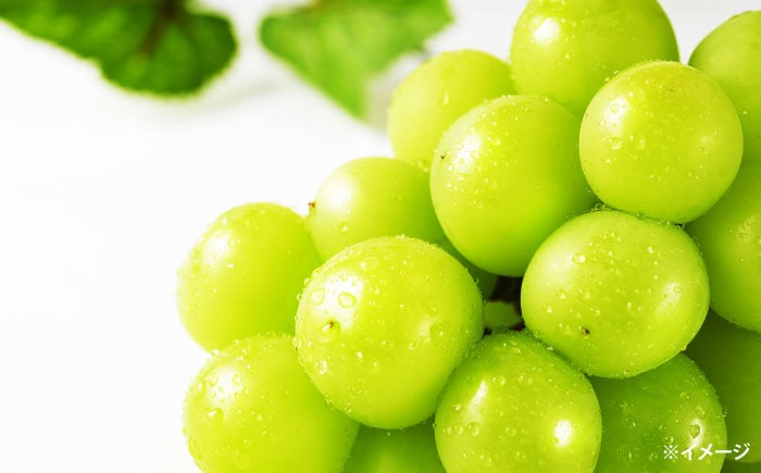 シャインマスカット 2kg マスカット ぶどう シャインマスカット
