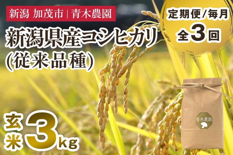 
            【令和7年産新米先行予約】【定期便3回毎月お届け】新潟県産 コシヒカリ（従来品種）玄米3kg（3kg×1袋）《10月上旬から順次発送》 玄米 白米 きのこ農家ならではの有機質肥料 お米 新潟産 コシヒカリ 加茂市 青木農園
          
