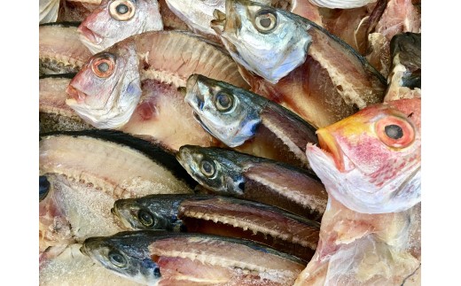 H22-175.竹中水産の定期便２回！「匠の一夜干し（×１回）＋浜茹で地蛸（×１回）」