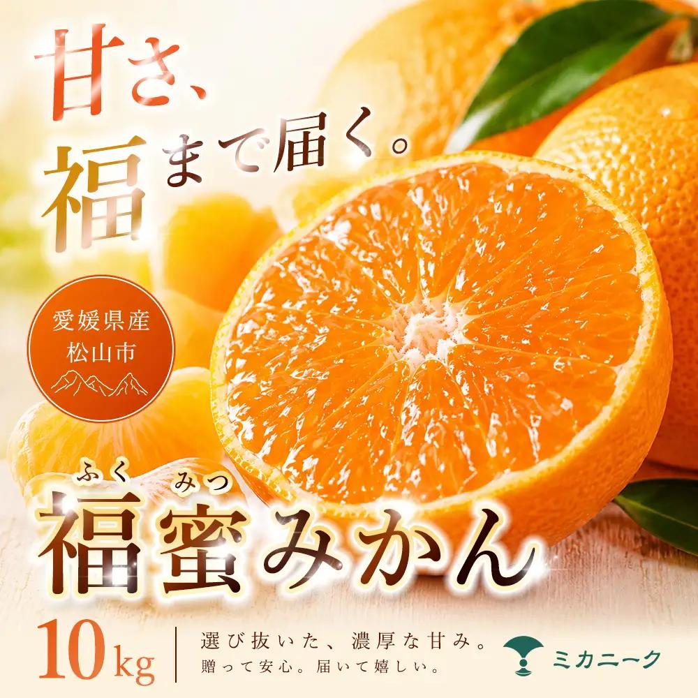 みかん 家庭用 10kg 愛媛県産 【2026年11月上旬頃から順次発送】 温州みかん ミカン mikan 【MKN048】